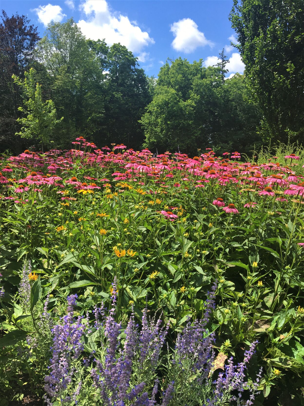 Black Point Flower Bed